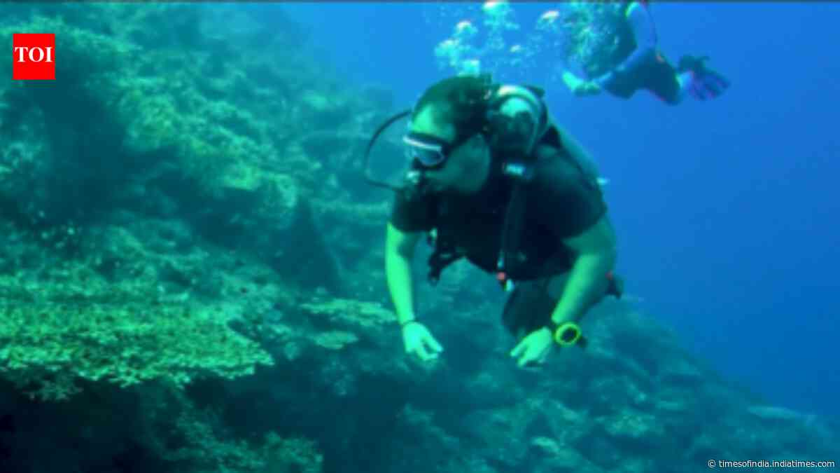 Watch: Rahul Gandhi scuba dives among Great Nicobar's coral reefs; raises concerns over mega project