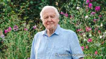 David Attenborough's key advice every gardener should try this summer