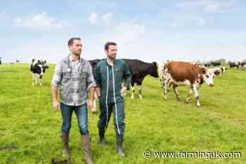 Farm animal vets at risk from fee reforms, MPs warn