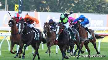 Lees pleased to see nemesis take flight for his Bob Charley contenders