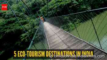 World Environment Day 2026: 5 eco-tourism destinations in India that are saving nature while welcoming travellers