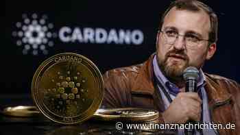 Erst der Anfang?: Cardano stürzt auf Fünfjahrestief ab - Gründer Hoskinson warnt vor Schlimmerem