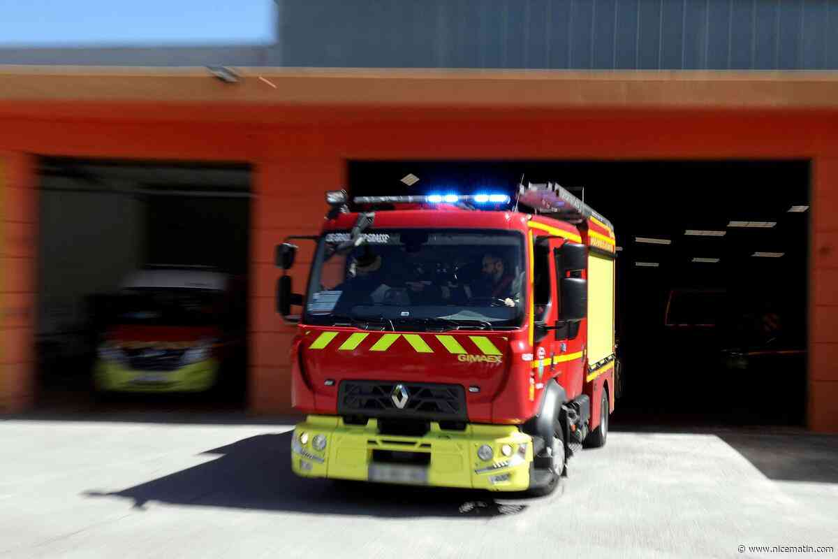 Un feu de végétaux touche la forêt : un épais panache de fumée se dégage au-dessus du golfe de Saint-Tropez