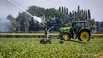 Boeren ontvangen minder voor hun producten, prijzen aardappelen flink gedaald