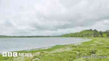 Murder suspects bailed after body found in harbour