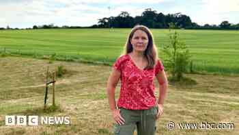 Garden village will 'overwhelm' community, says MP
