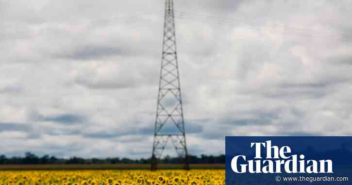 Scramble for biofuel as oil prices rise ‘could push world closer to food crisis’