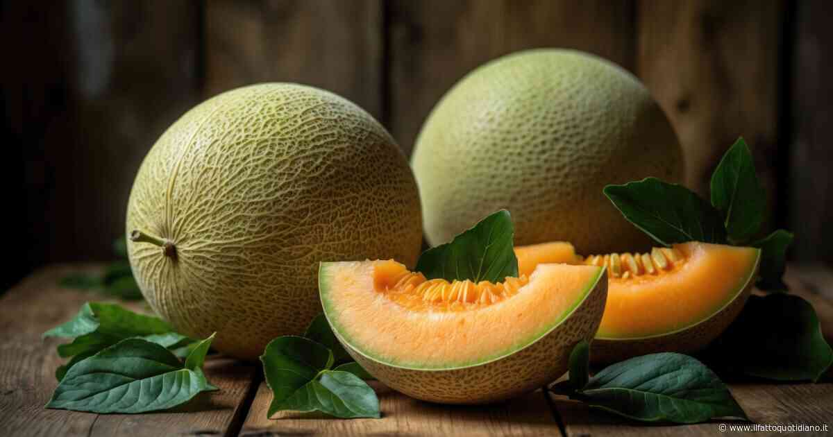 Due meloni Yubari venduti a 31mila euro: massaggiati con appositi guanti e rigirati uno ad uno, ecco perché questi frutti sono così preziosi e non saranno mangiati subito