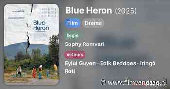 Blue Heron (2025, IMDb: 7.4)