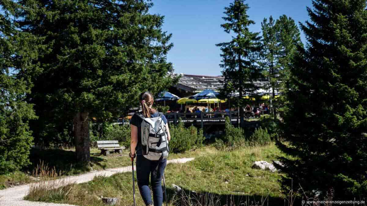 DAV warnt vor Bettwanzen: Immer mehr Alpenhütten betroffen – „Können einem das Leben vermiesen“