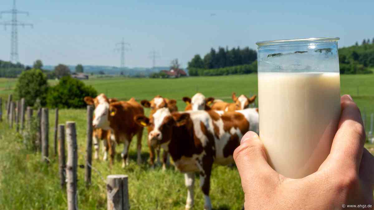Faktencheck: Was ist besser, Kuhmilch oder Pflanzendrinks?