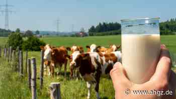 Faktencheck: Was ist besser, Kuhmilch oder Pflanzendrinks?