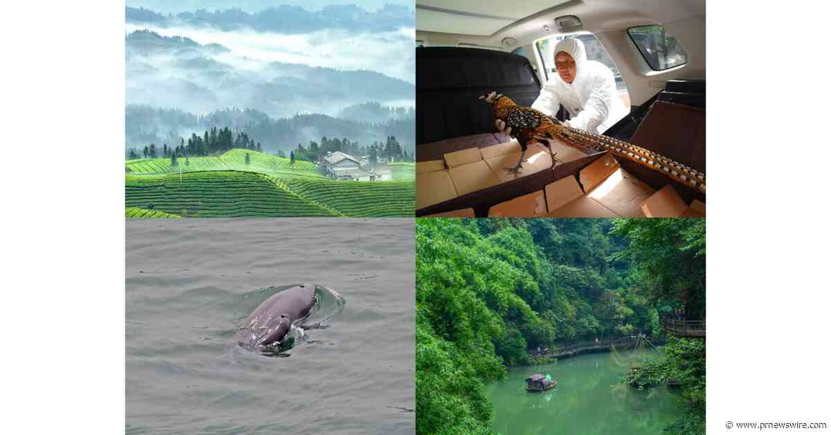 World Environment Day: Hubei, where nature thrives