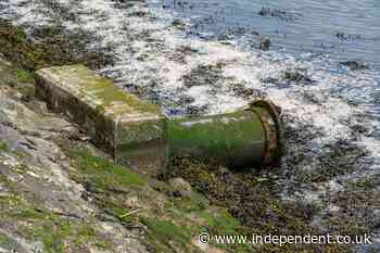 Welsh Water to pay £44 million for ‘serious’ sewage spill failures