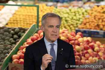 Liberals' grocery benefit payments start for eligible Canadians today