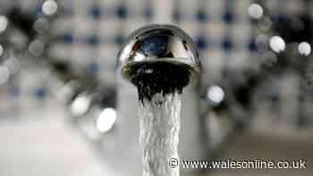 Welsh Water £44.7 million pay-out confirmed for 'serious and unacceptable breaches'