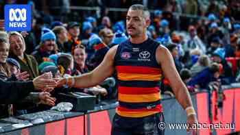 Live: Walker banned over dangerous mid-air push as Hawks prepare to face Dogs
