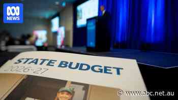 GST push to follow SA budget, treasurer says