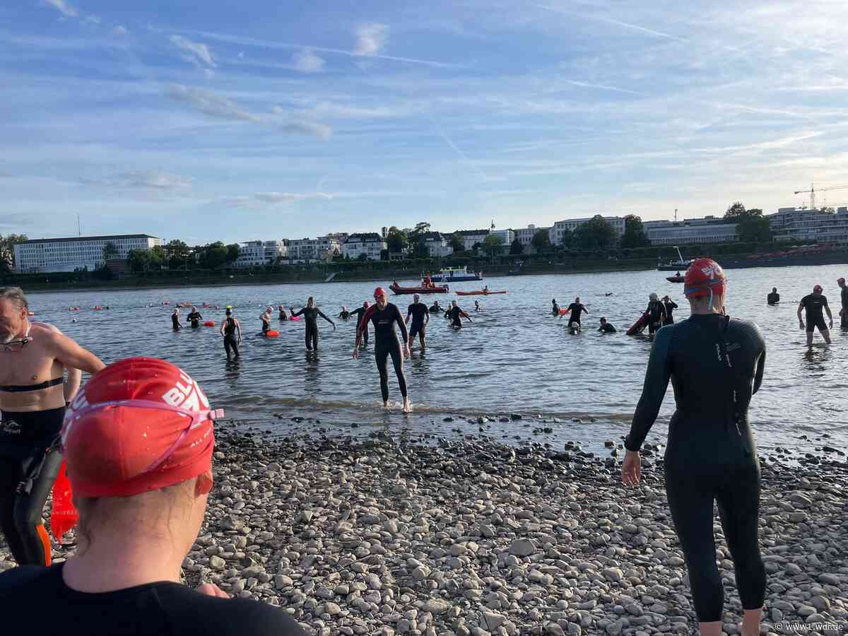 Testschwimmen für den Bonn Triathlon