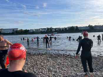 Testschwimmen für den Bonn Triathlon