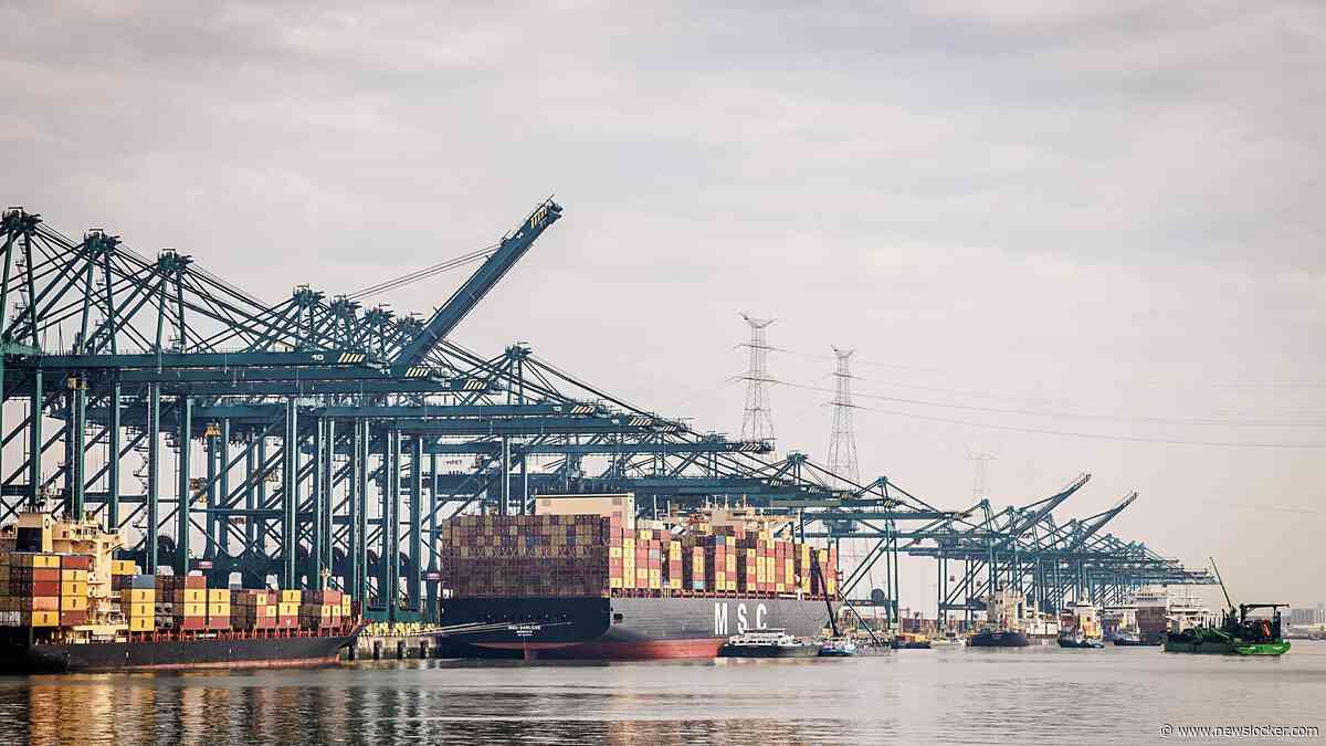 Nederlander nieuwe topman havenbedrijf Antwerpen-Brugge