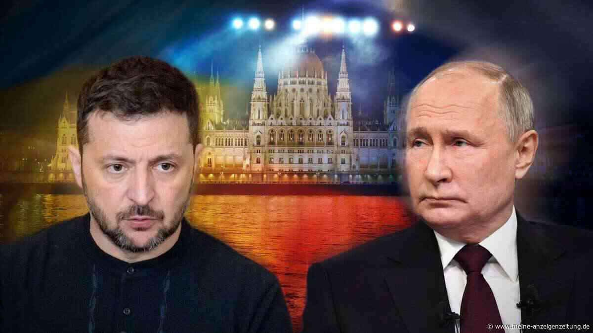 Selenskyj fordert Putin direkt heraus – Angebot für Treffen und Waffenruhe