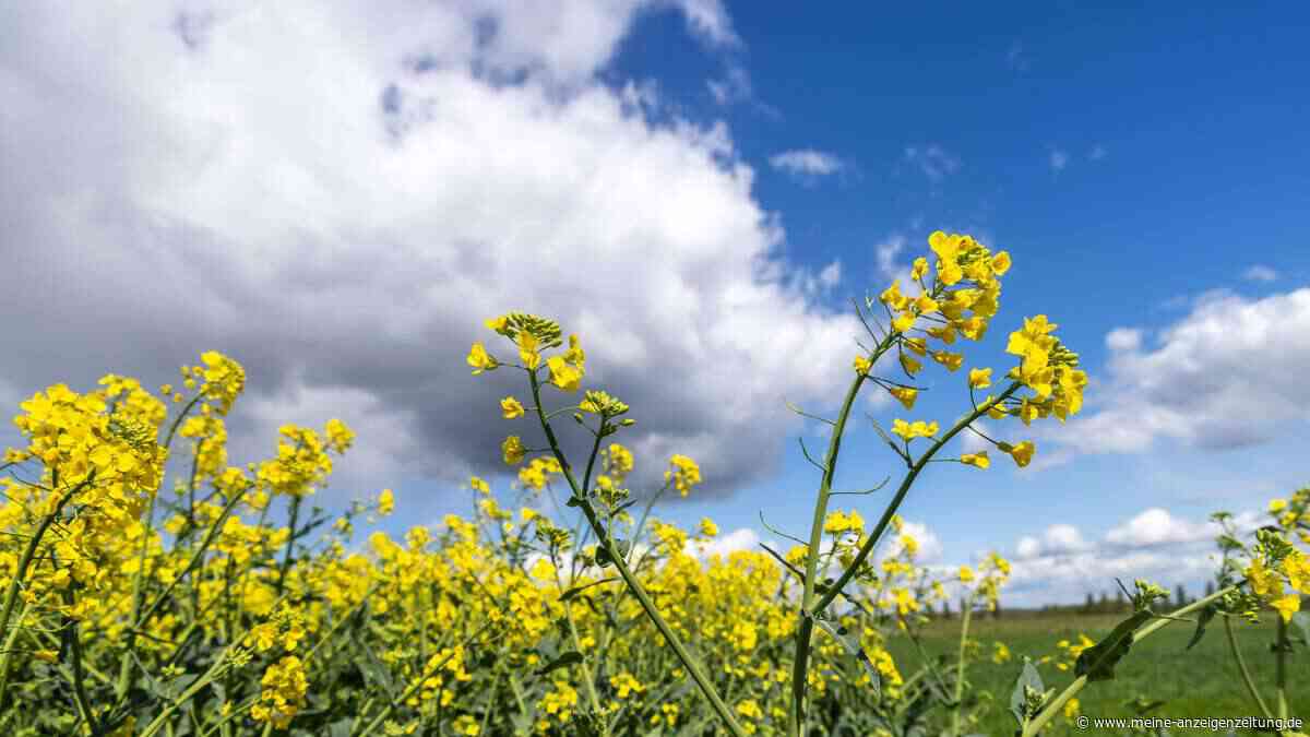 Baden „leicht im Vorteil“: Kommt der Sommer am Wochenende zurück?