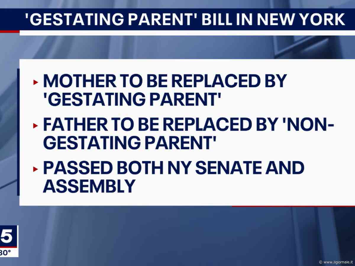 New York cancella mamma e papà: ora sono “genitori gestanti” (o “non gestanti”)