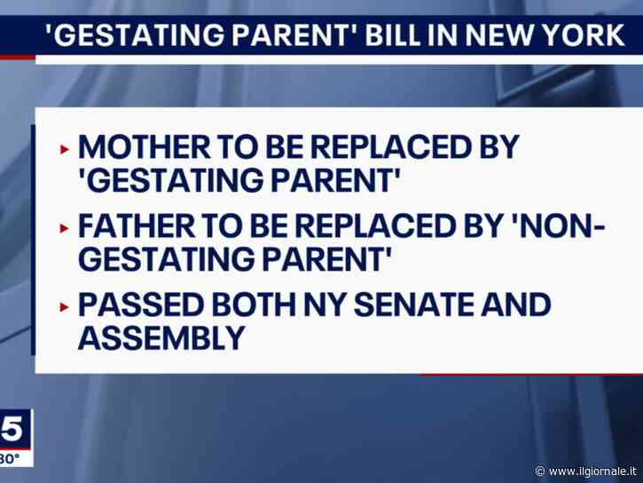 New York cancella mamma e papà: ora sono “genitori gestanti” (o “non gestanti”)