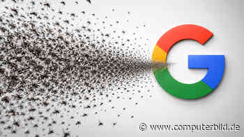 Debug mal anders: Google will Millionen Mücken freisetzen