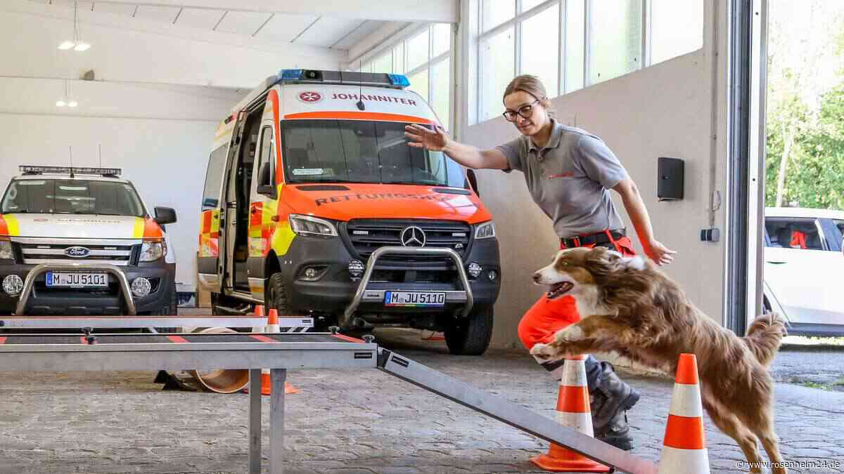 Wenn Hunde Leben retten: So trainieren die Johanniter für die Landesmeisterschaft in Eiselfing