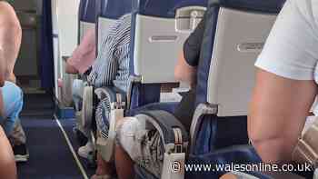 Fury as couple pay £150 for extra legroom flight seats only to realise major downside