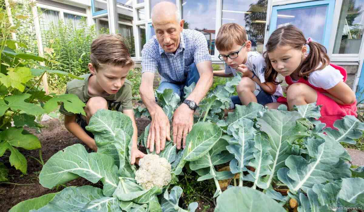 Moestuincoaches gezocht voor scholen in Noord-Nederland