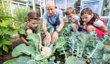 Moestuincoaches gezocht voor scholen in Noord-Nederland
