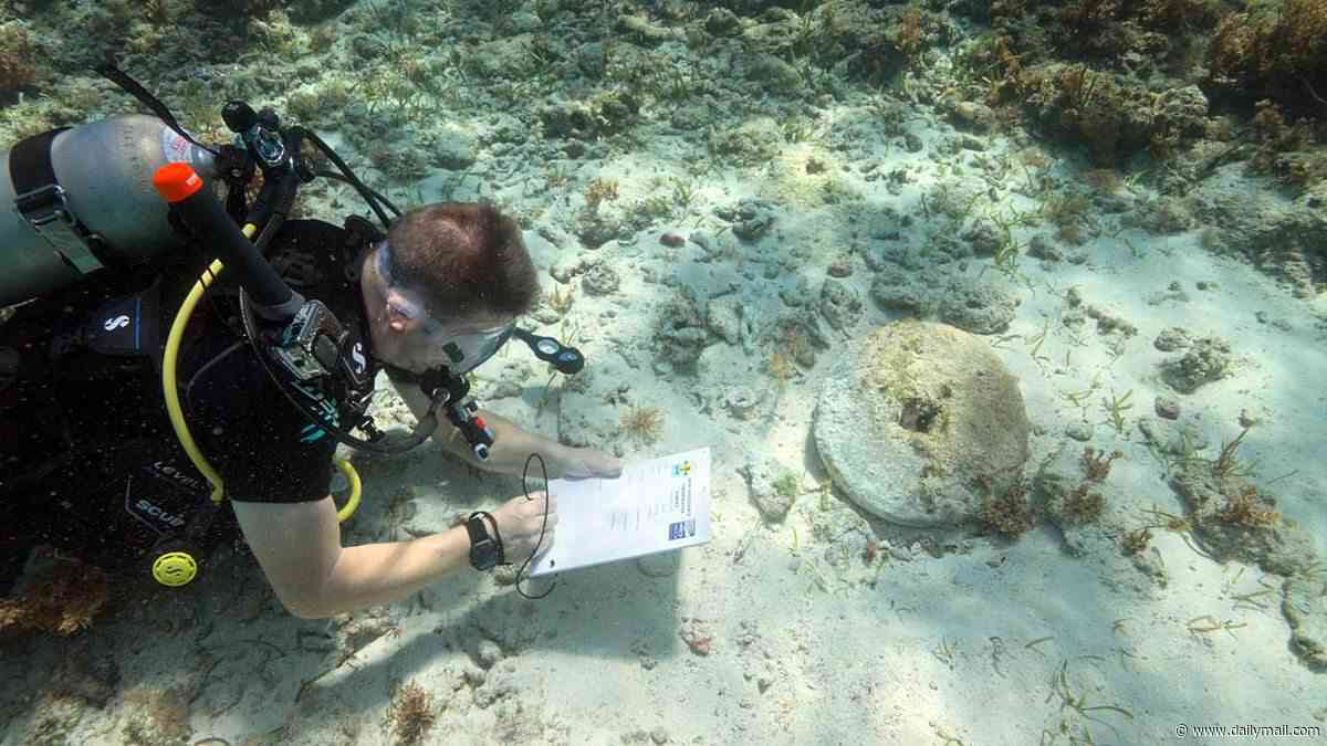 The REAL Pirates of the Caribbean: Scientists discover three shipwrecks with 'all the signs of pirate mischief' off the coast of the Bahamas