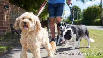 New rule from June 29 means £500 fines for dog walkers, drinkers and others