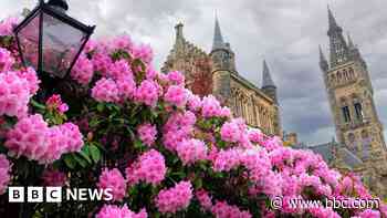 Your pictures of Scotland: 29 May - 5 June