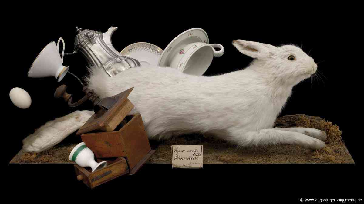 Sonderausstellung im Eichstätter Domschatz- und Diözesanmuseum: Wenn Stillleben lebendig werden