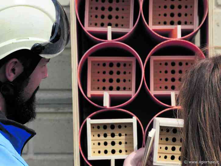 Nidi artificiali per impollinatori sulle strutture elettriche Terna