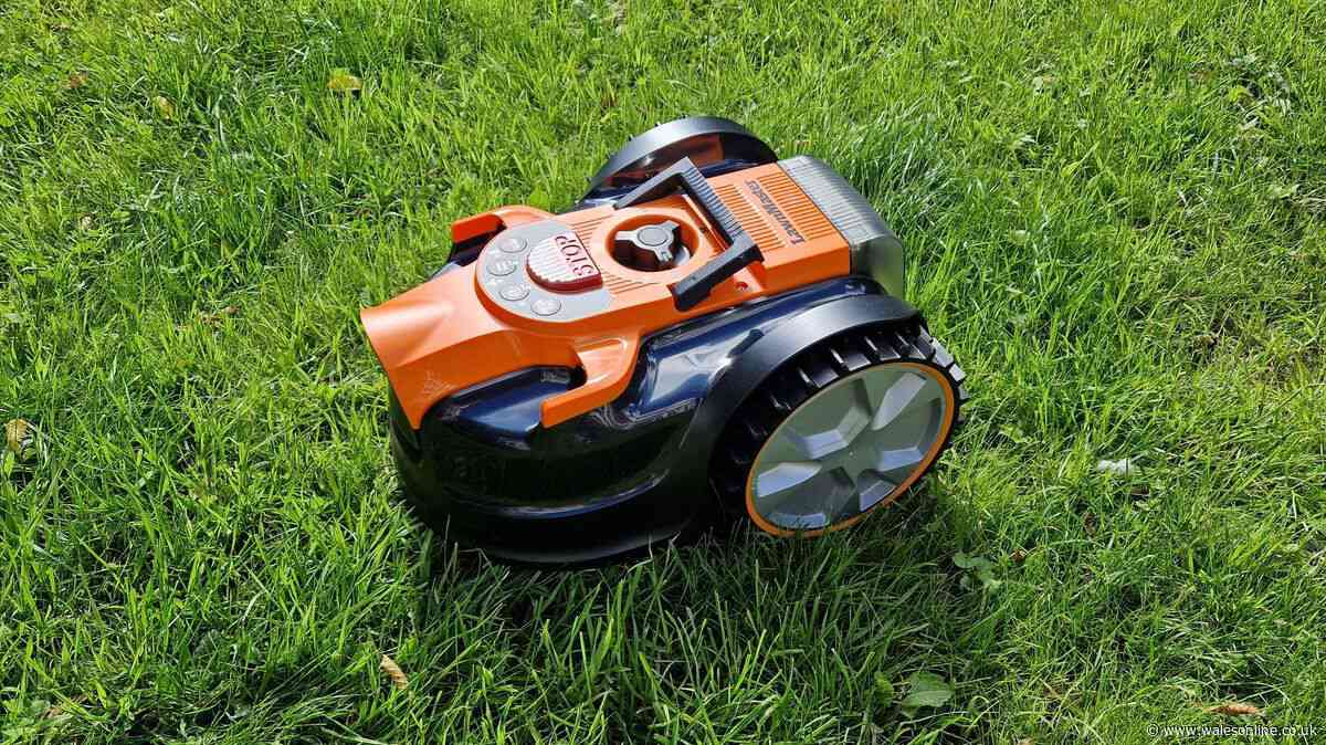 'My robot lawnmower paid for itself in weeks - it's one of my best buys'