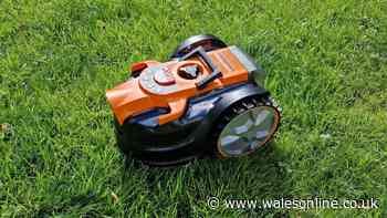'My robot lawnmower paid for itself in weeks - it's one of my best buys'