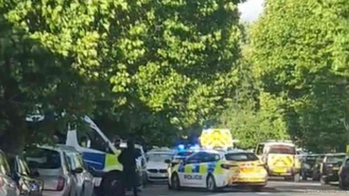 Murder arrest in Bristol after man stabbed to death