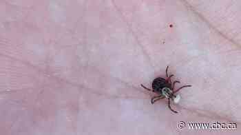 Ticks ready to take a bite out of Manitoba's summer as their season starts with 'bit of a bang'