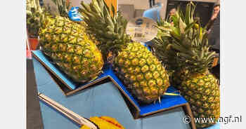 Fyffes zet ananas centraal in barbecuecampagne