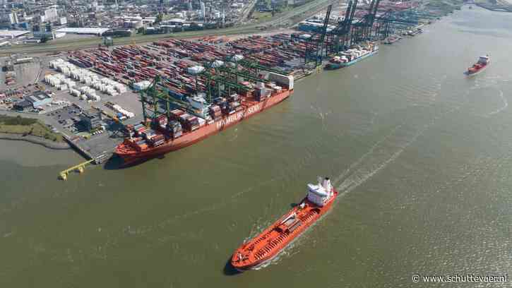 Loodsenstaking leidt tot vertragingen voor scheepvaart in Antwerpen