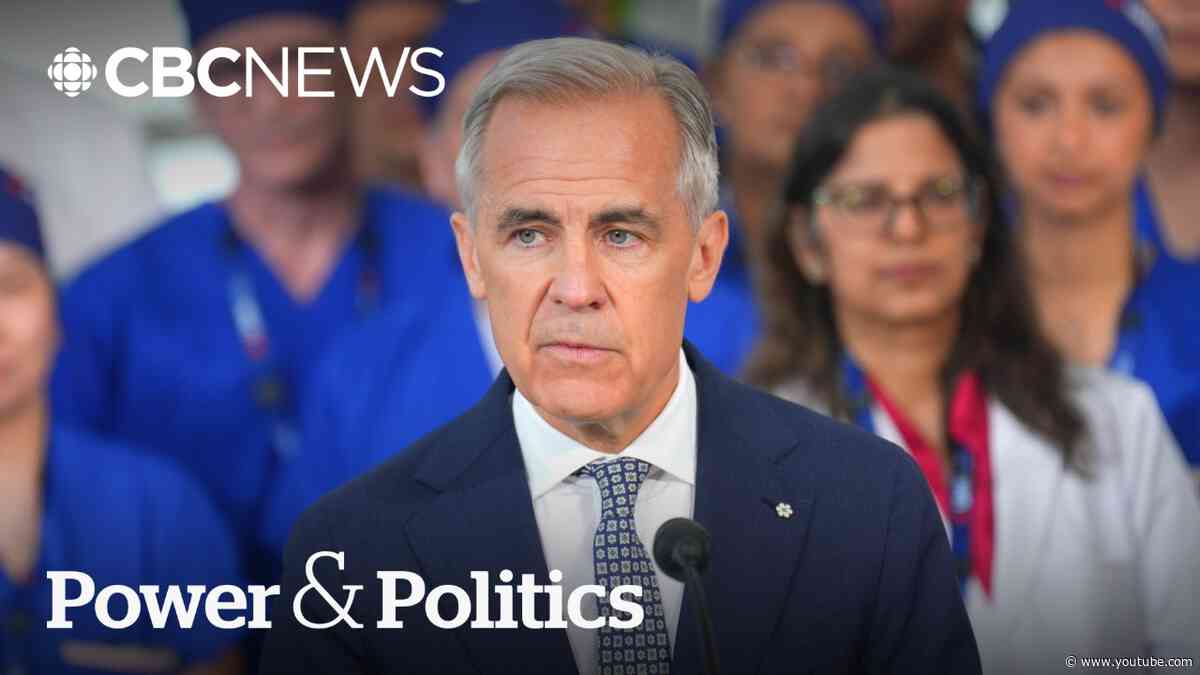 Carney rolls out 'AI for All' strategy. Does it go far enough? | Power & Politics