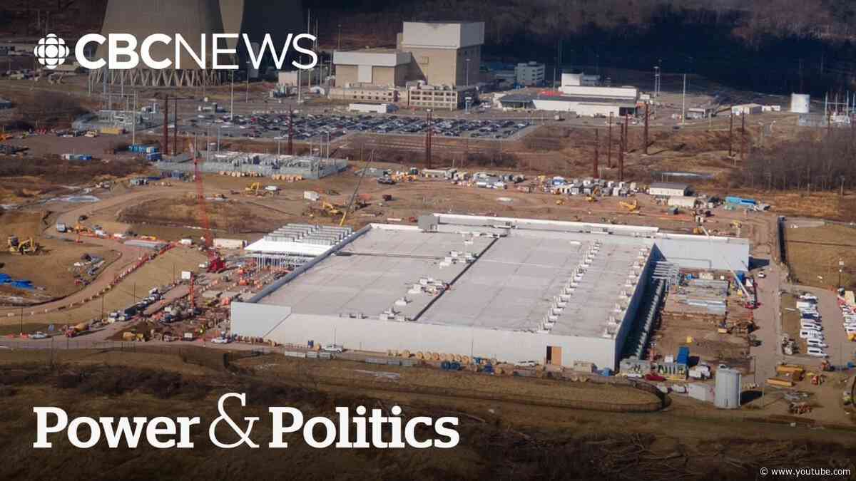 Carney wants 'large-scale' data centres. What's the environmental impact? | Power & Politics