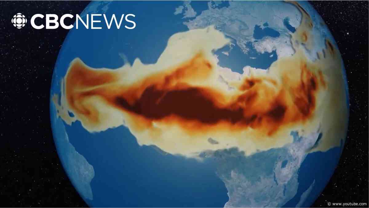 The hurricane killer: How Saharan dust is protecting coastlines