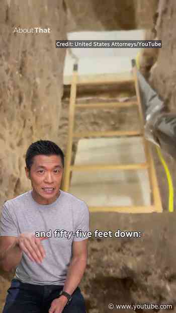Cross-border tunnel drug bust | About That