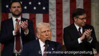 Kapitol-Stürmer im Pentagon, Immobilienmann beim Geheimdienst: Trumps Personalien schocken Washington